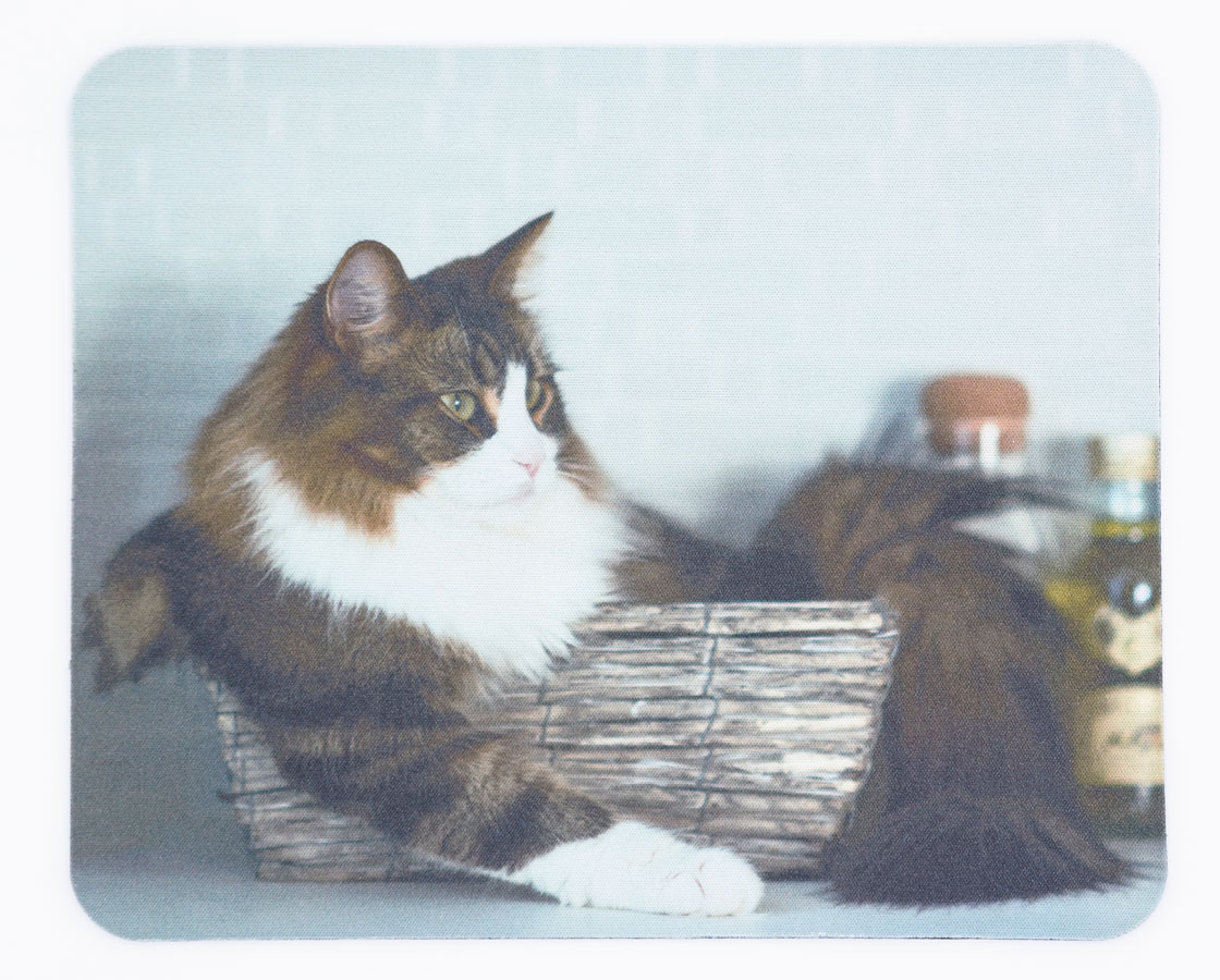 ペッツファーストオリジナルグッズ専門ショップ P’s-Goods & Gifts