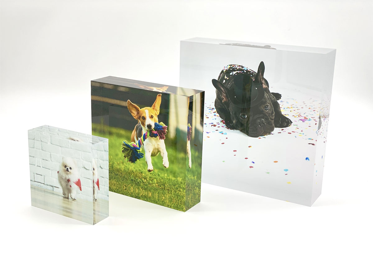 ペッツファーストオリジナルグッズ専門ショップ P’s-Goods & Gifts