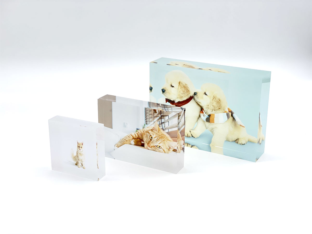 ペッツファーストオリジナルグッズ専門ショップ P’s-Goods & Gifts