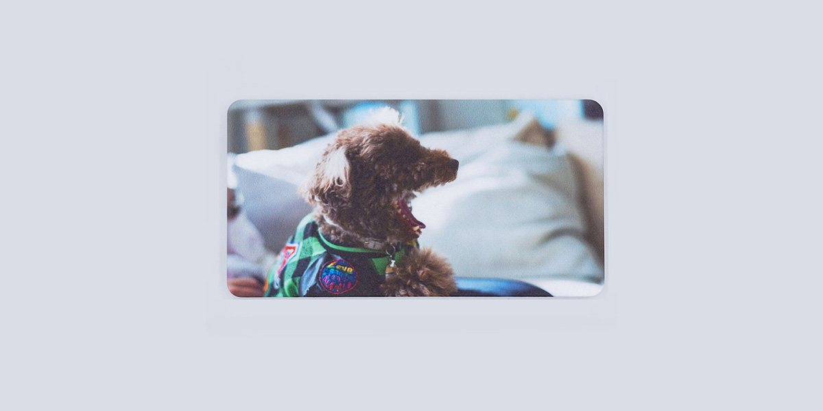 ペッツファーストオリジナルグッズ専門ショップ P’s-Goods & Gifts