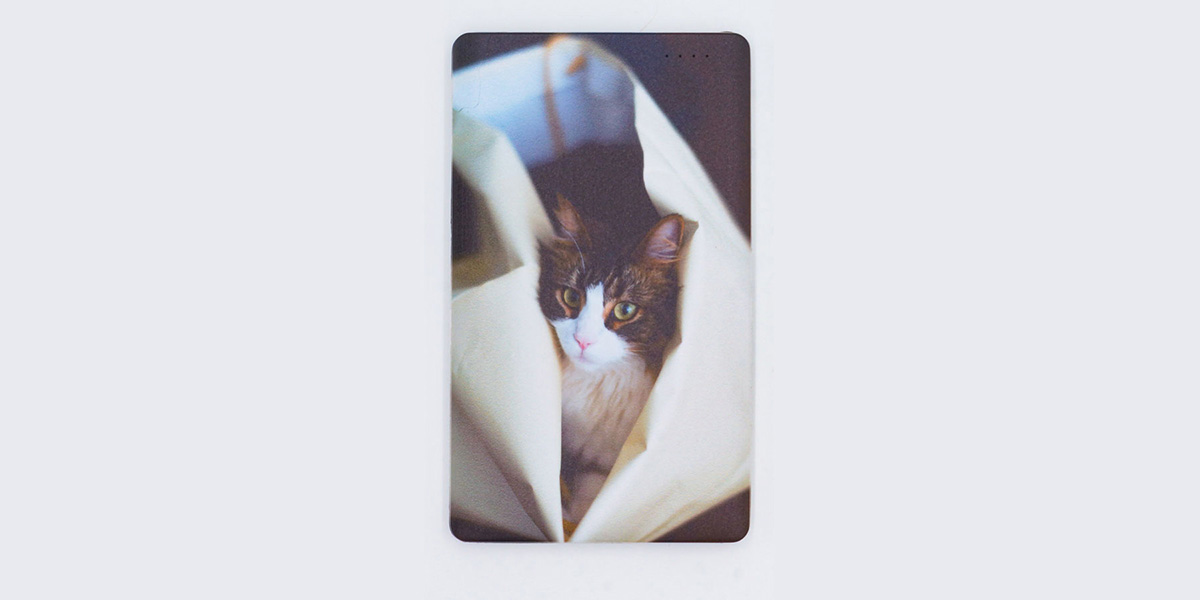 ペッツファーストオリジナルグッズ専門ショップ P’s-Goods & Gifts