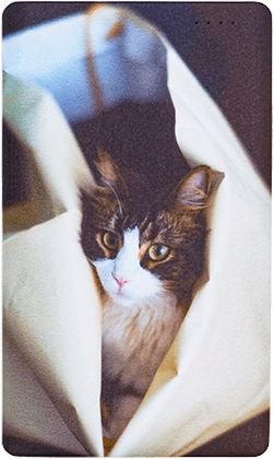 モバイルバッテリー