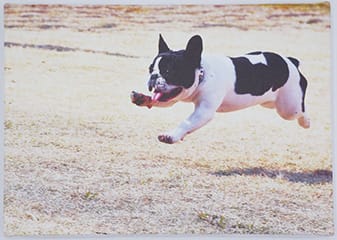 キャンバスプリント