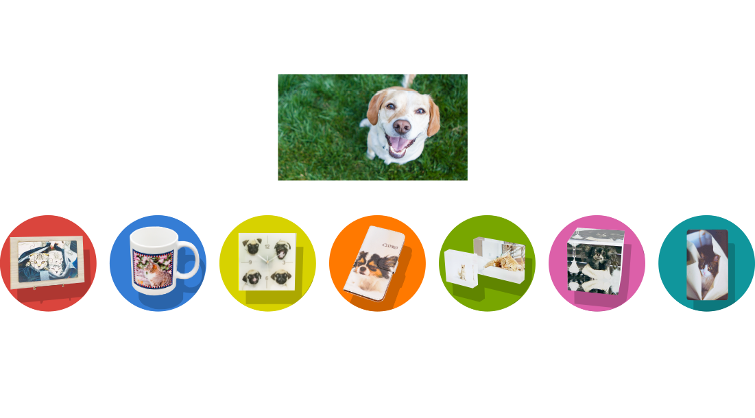 ペッツファーストオリジナルグッズ専門ショップ P’s-Goods & Gifts